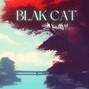 BlakCatMusic - Funkytoo