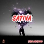 Tiger Backwoods - Sativa - Lo-Fi Type Beat