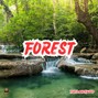 Tiger Backwoods - Forest - Meditative Type Beat