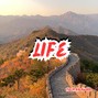 Tiger Backwoods - Life - Lo-fi Type Beat