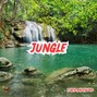 Tiger Backwoods - Jungle - Meditative Type Beat