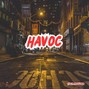 Tiger Backwoods - Havoc - Fivio Foreign Type Beat
