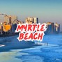 Tiger Backwoods - Myrtle Beach - Meditation Type Beat