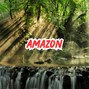 Tiger Backwoods - Amazon - Downtempo Type Beat