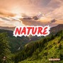 Tiger Backwoods - Nature - Yoga Type Beat