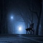 Lowdanum - Lowdanum - night 