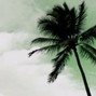 Plume Légère - Spring Memph