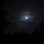 SAINTKIDBEATS - MOON SHADE