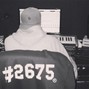 enarBeats - Estrelato