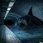 JC Beats - Subway shark