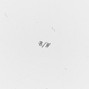 Artёmski ®  - b/w