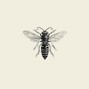 Sean Houston - Honey
