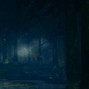 Levin ⚡ Lightning - forest of death