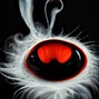 nikelionex10 - fogus - ghidan