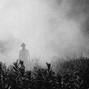 THANKYOUTHOMAS - WHO'S THERE? - PROD BY THANKYOUTHOMAS