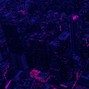 THANKYOUTHOMAS - ETERNAL - PROD BY THANKYOUTHOMAS