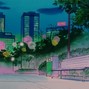 henri was here - primavera