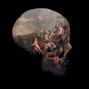 Diplomat - Predicament