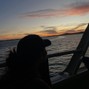 buk - sunset summer