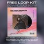 Krid Beatz - Mini Loop Kit "Melodic Dreams" Soul - RnB - Trap 