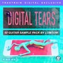 Traktrain Sound Label - Traktrain Guitar Kit "Digital Tears" (50 Loops) by LOWTOW
