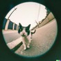 masked man - u know me