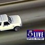Paradox - WHITEBRONCO
