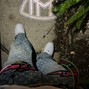 bksauc3 - grateful_v3_FINAL_143bpm_@bksauc3