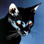 BOSCHx - Black Cat