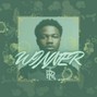 elmts - Winner - Roddy Rich type bea