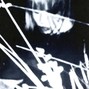 brightremmy1 - chill destroy lonely x iayze x kankan "sliderr" BUY 2 GET 1