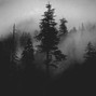 noir7k - fading w/ wifi