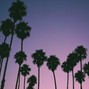Lazypov - Popcaan x Dancehall Type Beat "Palm Island"
