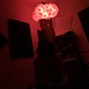 Bodhi - Slimes
