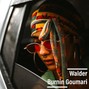 Walder - Burnin Goumari - Burna boy x Tems type beat