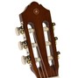 Sliqwin - VIBE GUITAR