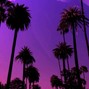 Damm Devin - On The Road