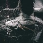 prxsm. - Trophies