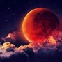 CAVY - Moon