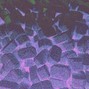 ocean - "wavin" (PROD. BY ocean)