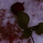 xsoulboy - bleeding rose