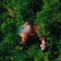 STILLPOOR - CHILLINIT TYPE BEAT - LAND DOWN UNDER