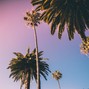 ZIMMER75 - ZIMMER75 - MIAMI VICE