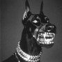 RakwonBeats  - Hard Hitting Trap Type Beat - "Underdog"