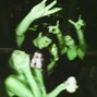 WokeVI - Touch The Sky