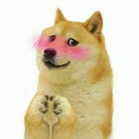 UWU DØGE