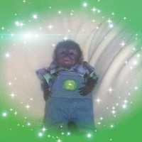 spacedip