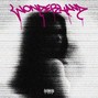 spacedip - Wonderland