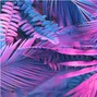prodbylavish - Vacation