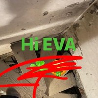 hello_eva1